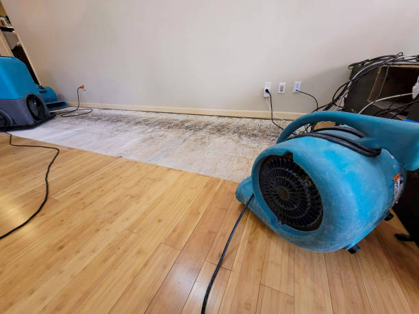 Reliable Storm Water Damage Restoration contractor in Meridian, OK by Hirex Water Damage